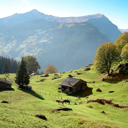 Abendrot Apartments-2 By Interhome Grindelwald